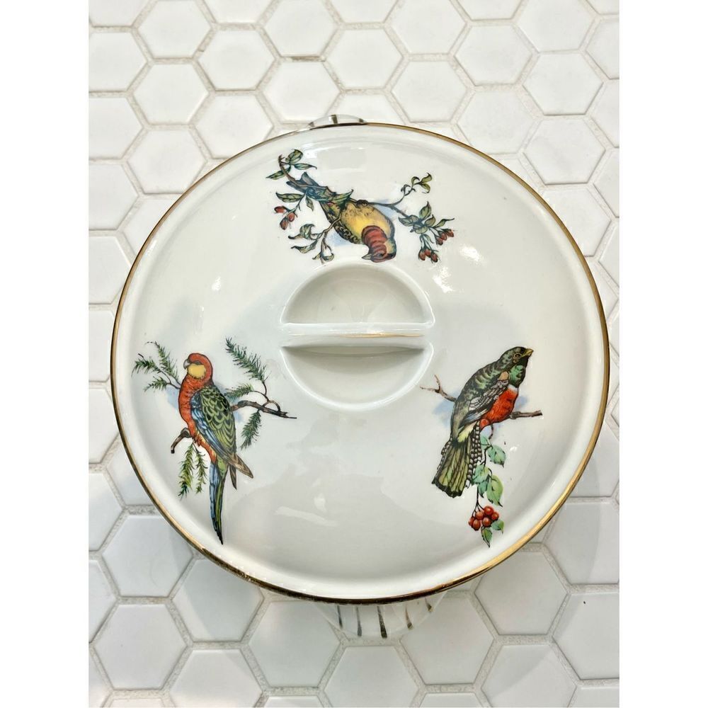 Rare Vintage Pillivuyt France Covered Tureen | Exotic Birds Porcelain - Picture 4 of 12